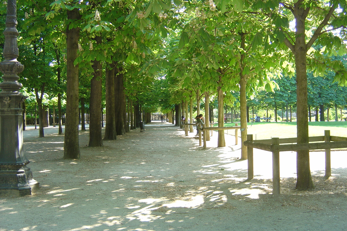 Picture France Paris Garden of Tuileries 2007-05 205 - Street Garden of Tuileries