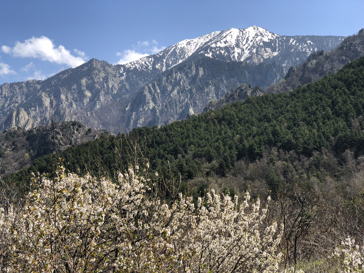 Picture France Abbaye Saint Martin du Canigou 2018-04 192 - Room Abbaye Saint Martin du Canigou