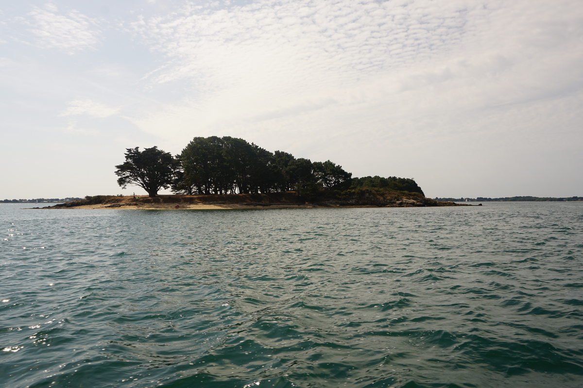 Picture France Golfe du Morbihan 2016-08 50 - City Sight Golfe du Morbihan