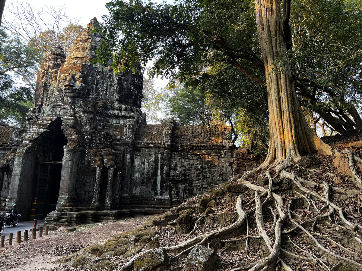 Picture Cambodia Siem Reap Angkor Thom 2023-01 39 - Price Angkor Thom