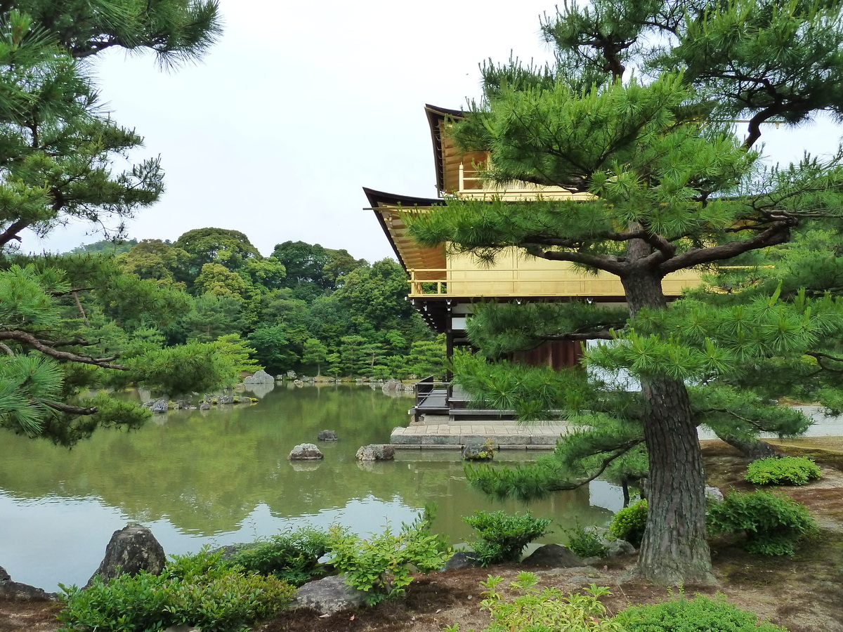 Picture Japan Kyoto Kinkakuji Temple(Golden Pavilion) 2010-06 70 - Sunrise Kinkakuji Temple(Golden Pavilion)