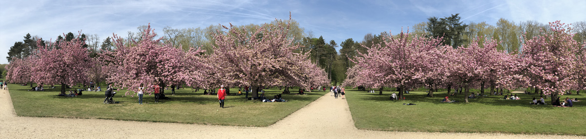 Picture France Parc de Sceaux 2019-04 32 - SPA Parc de Sceaux