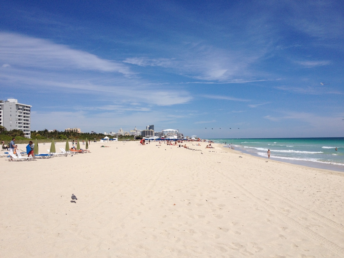 Picture United States Miami Beach 2015-03 68 - Hot Season Miami Beach