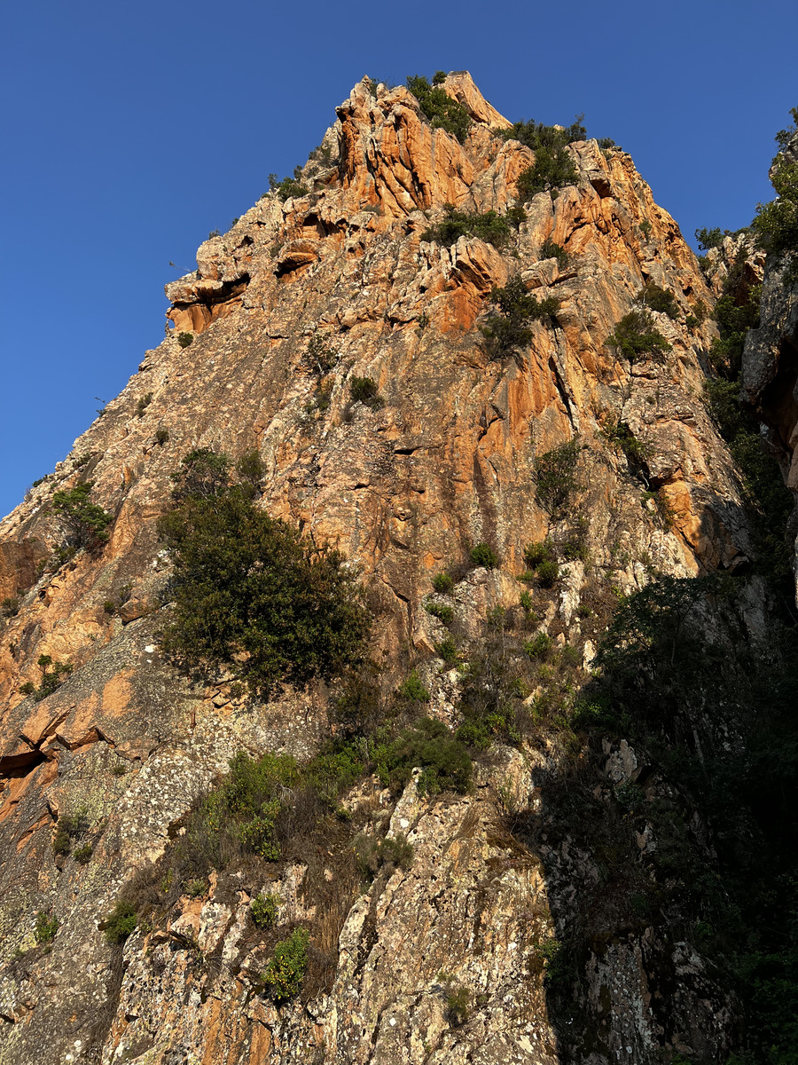 Picture France Corsica Calanques de Piana 2023-06 40 - Savings Calanques de Piana