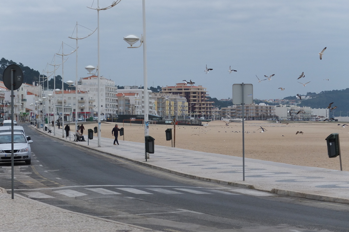 Picture Portugal Nazare 2013-01 90 - Resorts Nazare