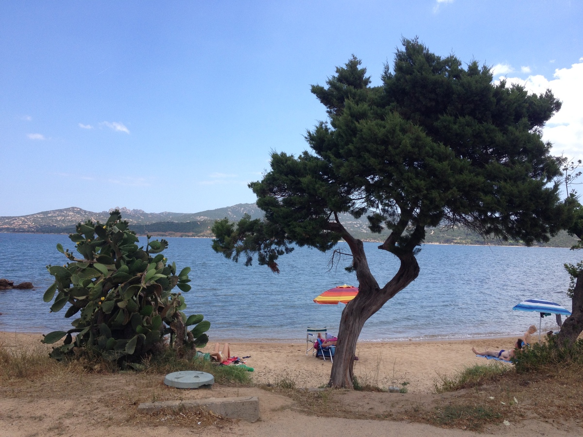 Picture Italy Sardinia Costa Smeralda 2015-06 38 - Rain Season Costa Smeralda