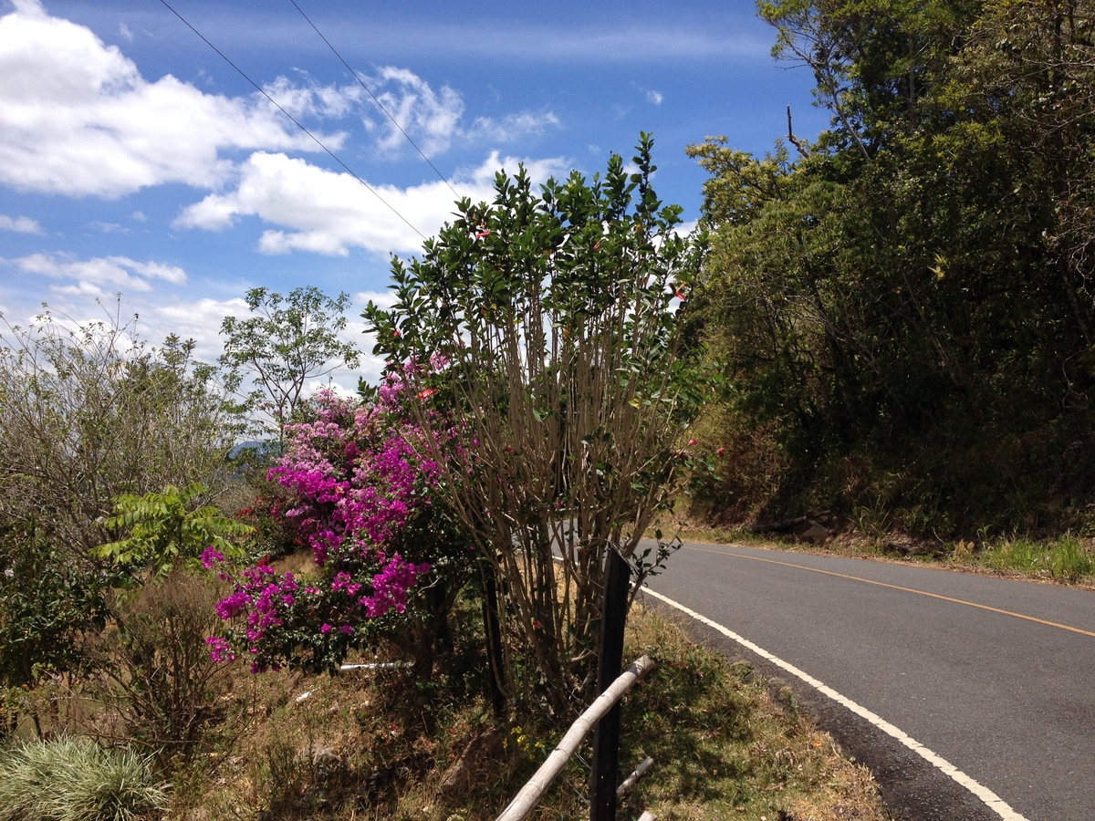 Picture Panama Boquete 2015-03 46 - Waterfalls Boquete