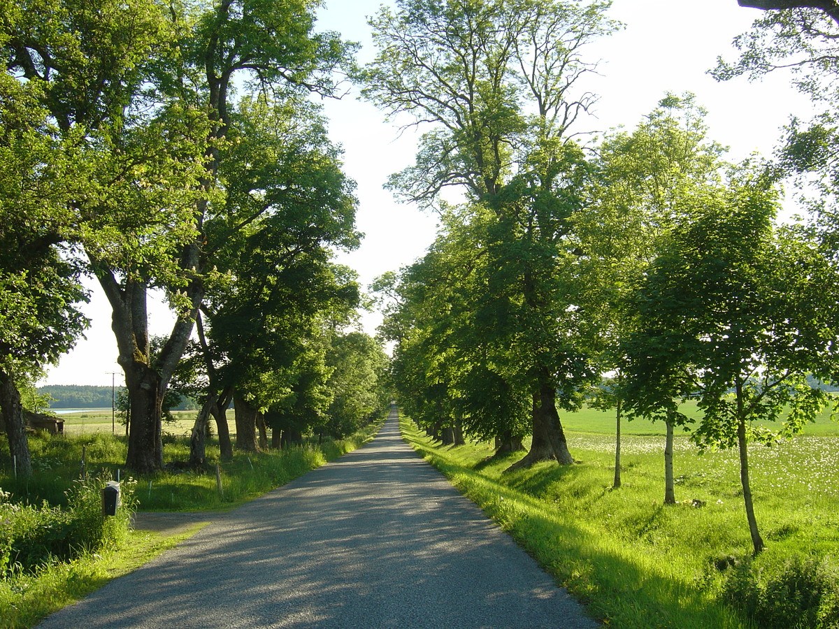 Picture Sweden Sigtuna to Uppsala road 2005-06 10 - Transport Sigtuna to Uppsala road