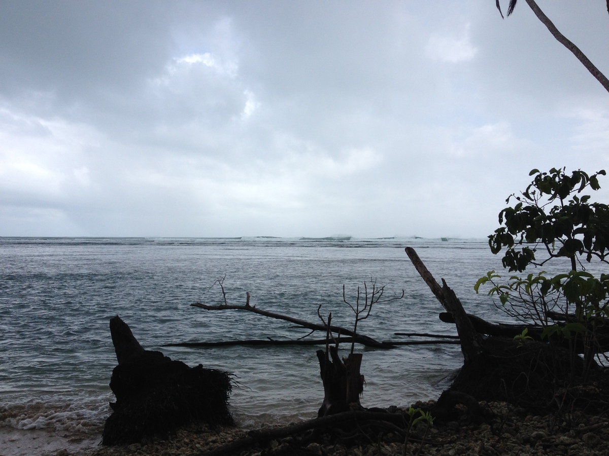 Picture Costa Rica Cahuita 2015-03 218 - Street Cahuita