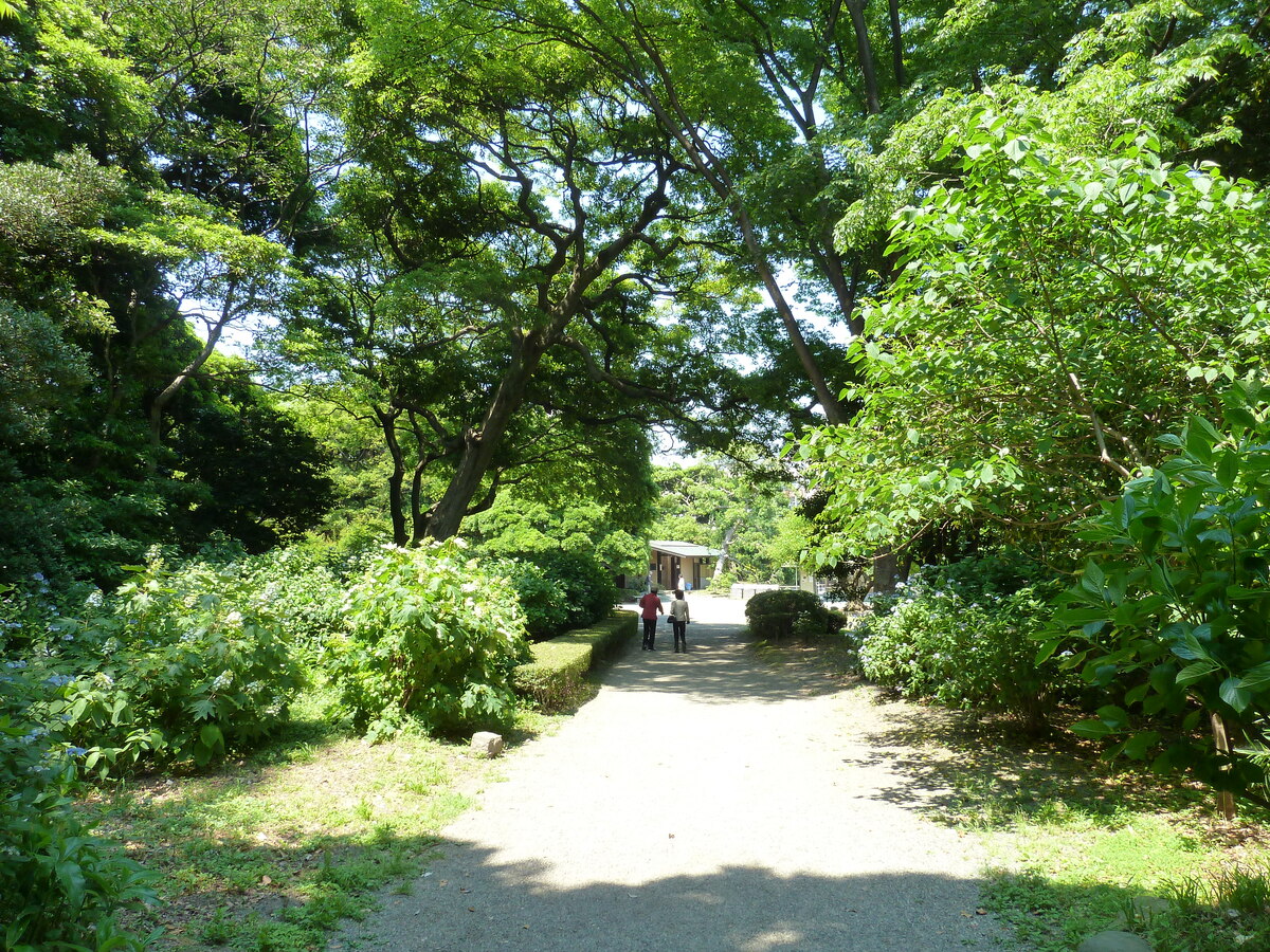 Picture Japan Tokyo Hama rikyu Gardens 2010-06 28 - Street Hama rikyu Gardens