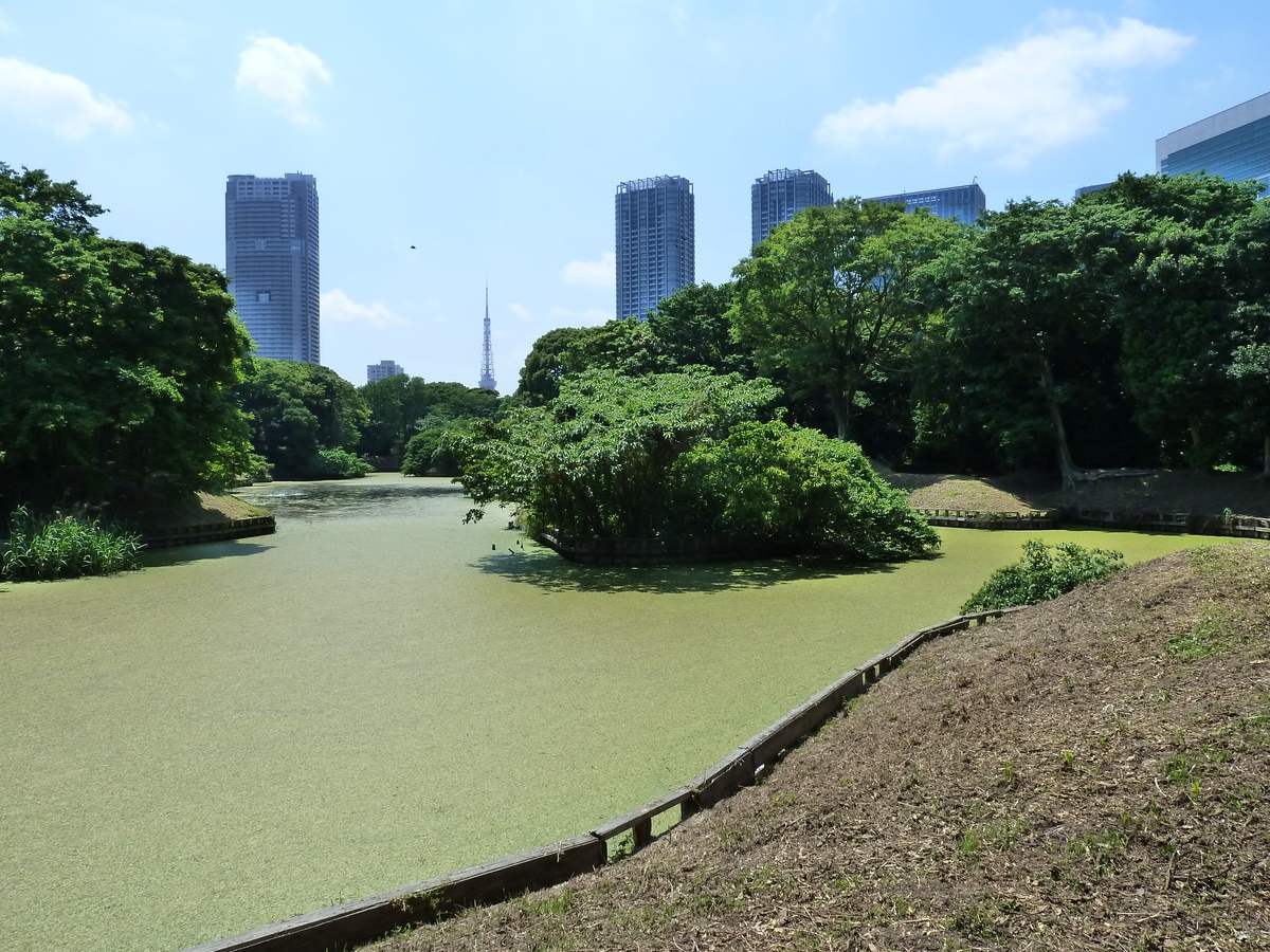 Picture Japan Tokyo Hama rikyu Gardens 2010-06 2 - Sunset Hama rikyu Gardens