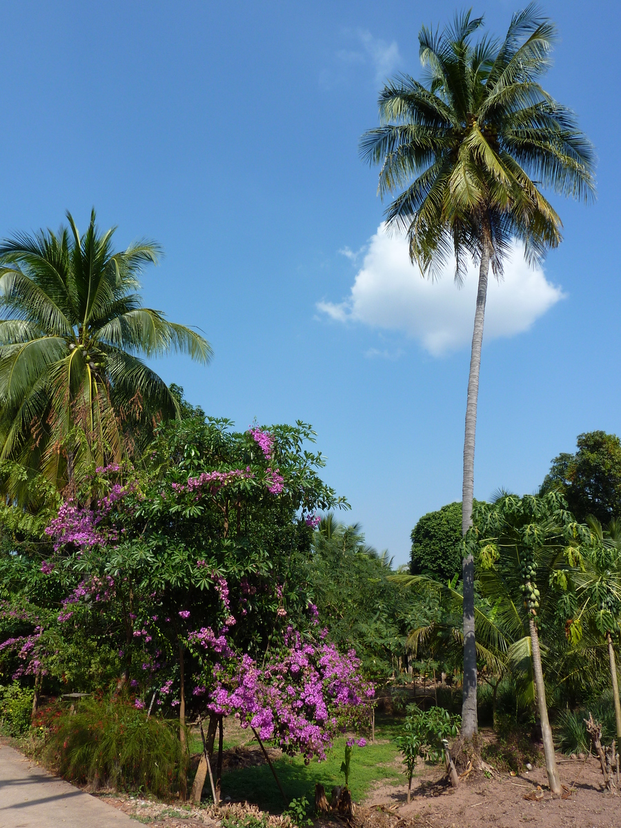 Picture Thailand Phitsanulok Chom Thong 2009-12 12 - Weather Chom Thong