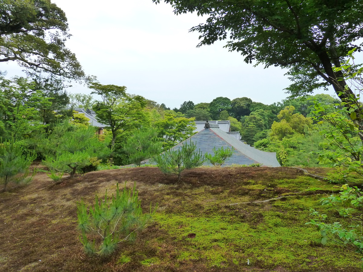 Picture Japan Kyoto Kinkakuji Temple(Golden Pavilion) 2010-06 37 - Rain Season Kinkakuji Temple(Golden Pavilion)