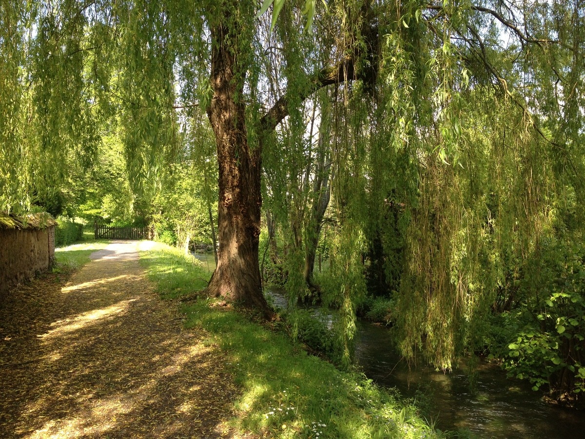 Picture France Lyons La Foret 2014-05 46 - Streets Lyons La Foret