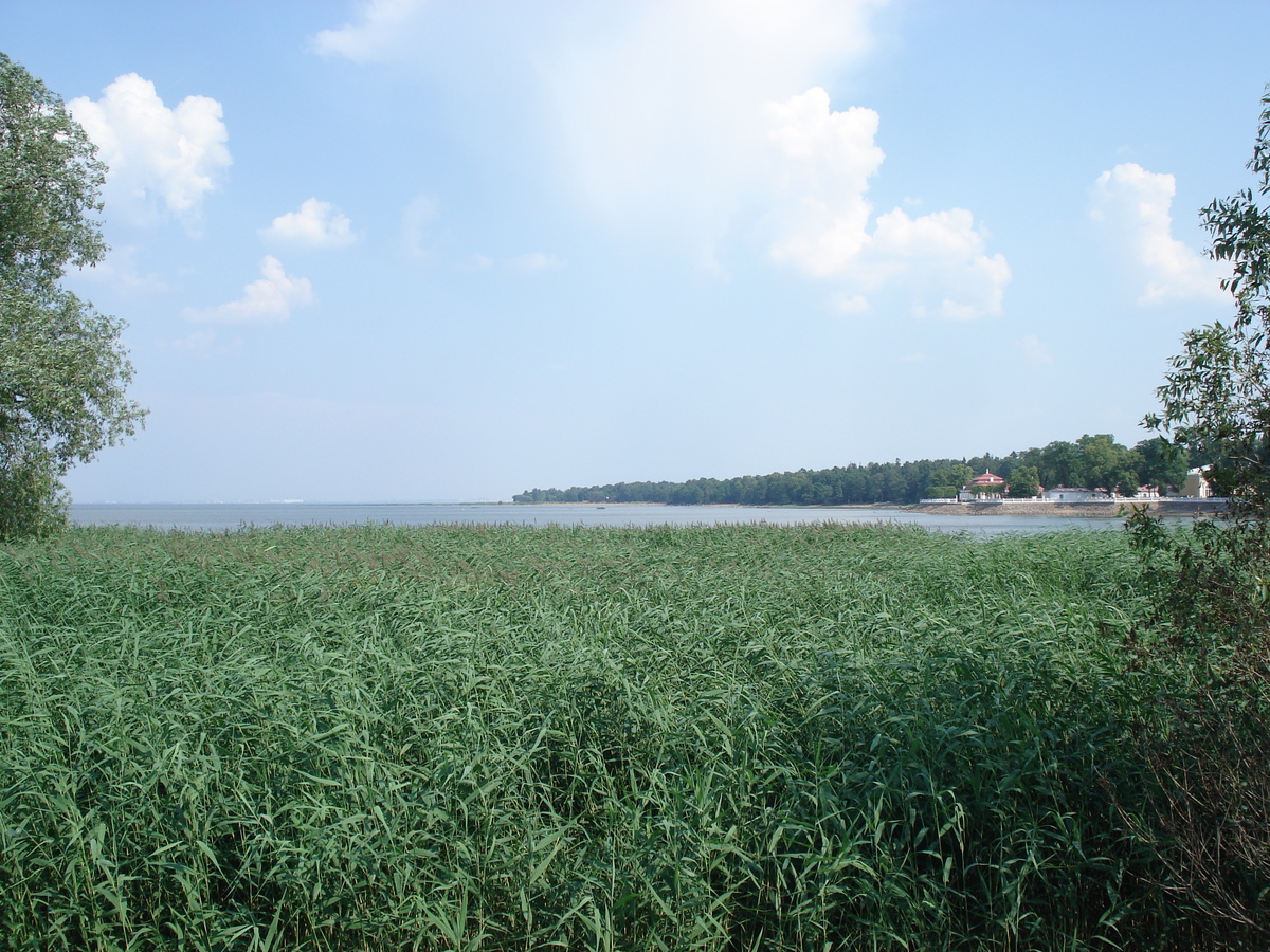 Picture Russia Petrodvorets 2006-07 98 - Lake Petrodvorets