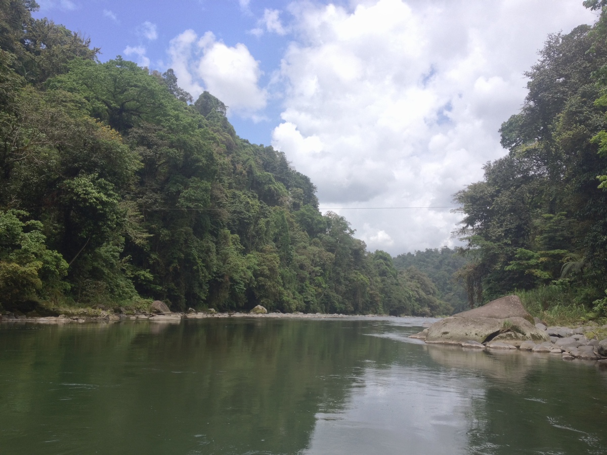 Picture Costa Rica Pacuare River 2015-03 94 - Sauna Pacuare River