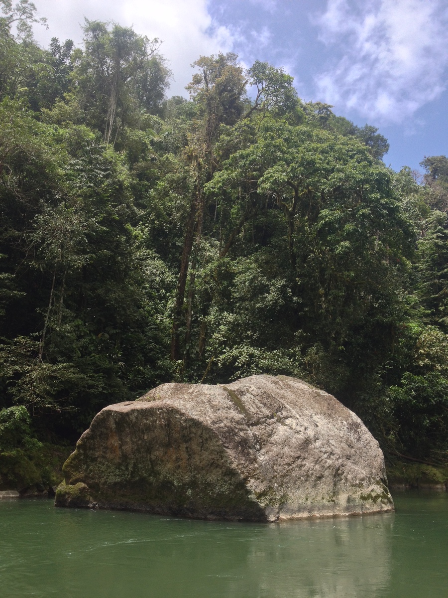 Picture Costa Rica Pacuare River 2015-03 146 - Night Pacuare River