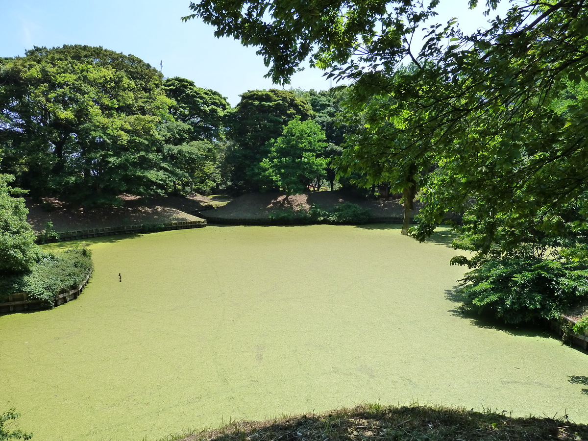 Picture Japan Tokyo Hama rikyu Gardens 2010-06 65 - SPA Hama rikyu Gardens