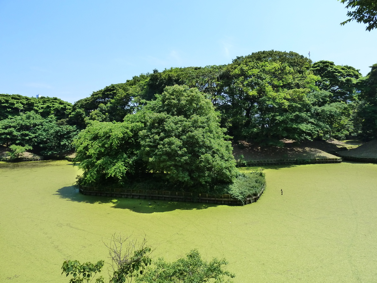 Picture Japan Tokyo Hama rikyu Gardens 2010-06 70 - Lake Hama rikyu Gardens