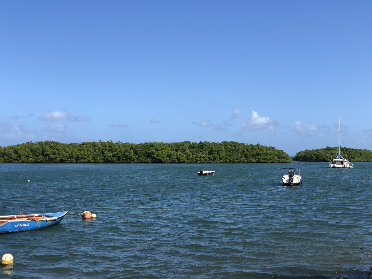 Picture Guadeloupe Sainte Rose 2021-02 2 - Weather Sainte Rose