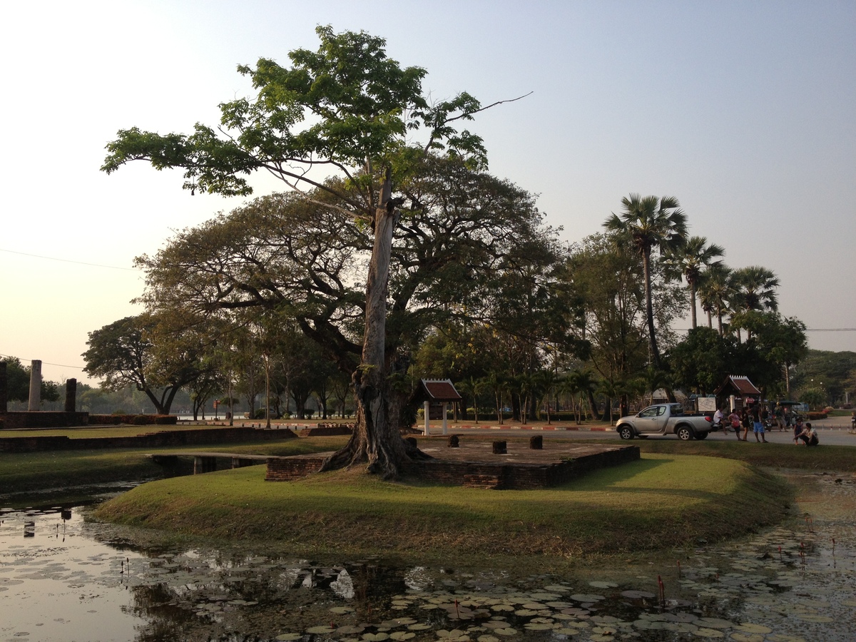 Picture Thailand Sukhothai 2014-02 32 - Cost Sukhothai