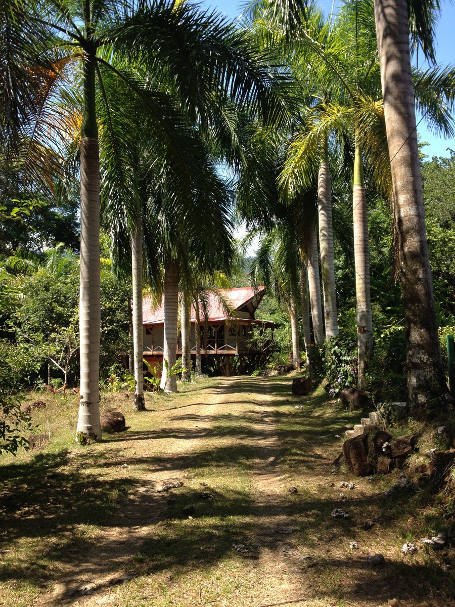 Picture Costa Rica Uvita 2015-03 77 - Restaurant Uvita