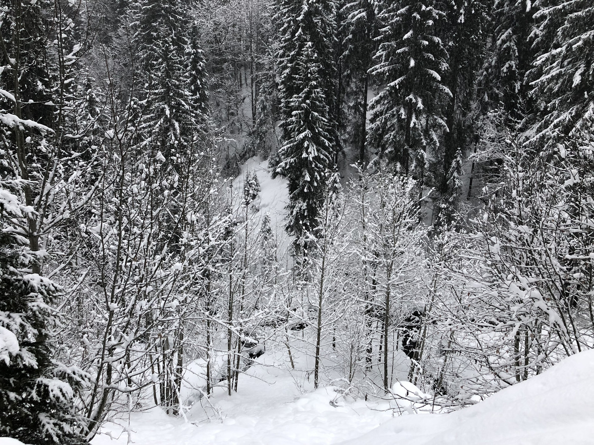 Picture France La Clusaz 2017-12 74 - Sauna La Clusaz