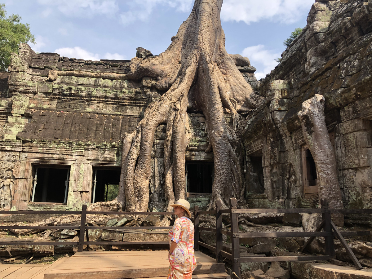 Picture Cambodia Siem Reap Ta Prohm 2023-01 46 - Hotel Ta Prohm