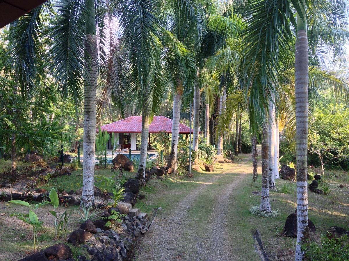 Picture Costa Rica Uvita 2015-03 52 - Hotels Uvita