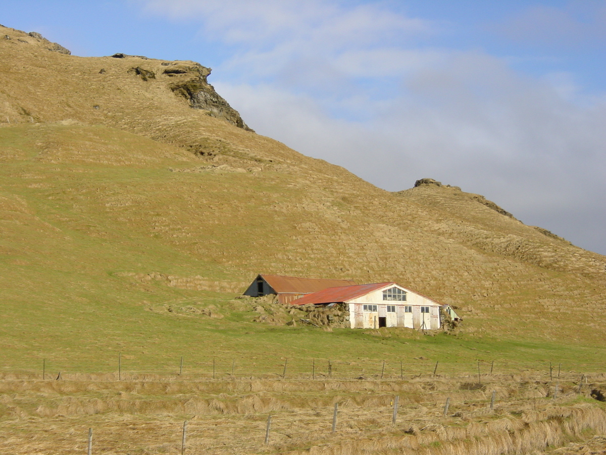 Picture Iceland Dyrholaey 2003-03 31 - Street Dyrholaey