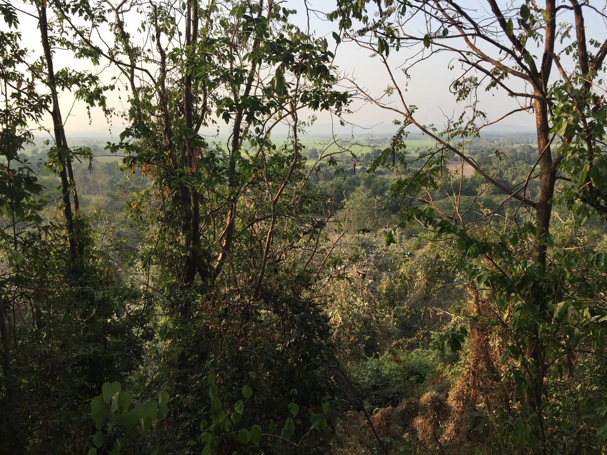 Picture Thailand Si satchanalai historical park 2014-12 157 - Hot Season Si satchanalai historical park