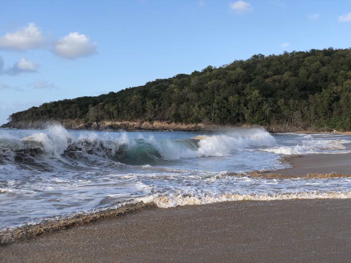 Picture Guadeloupe La Perle Beach 2021-02 59 - Hotel Pools La Perle Beach