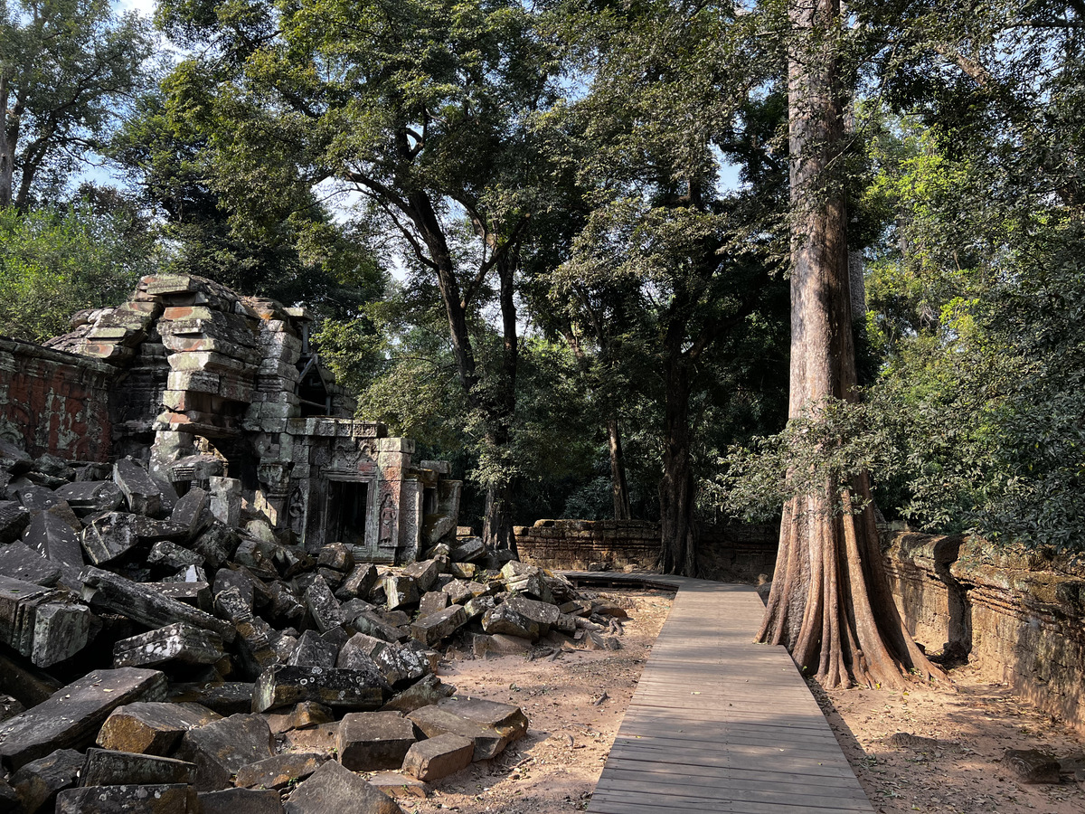 Picture Cambodia Siem Reap Ta Prohm 2023-01 35 - Monuments Ta Prohm