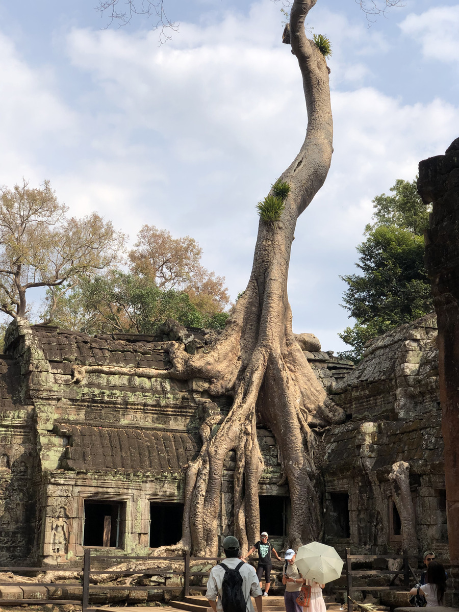 Picture Cambodia Siem Reap Ta Prohm 2023-01 111 - Walking Street Ta Prohm