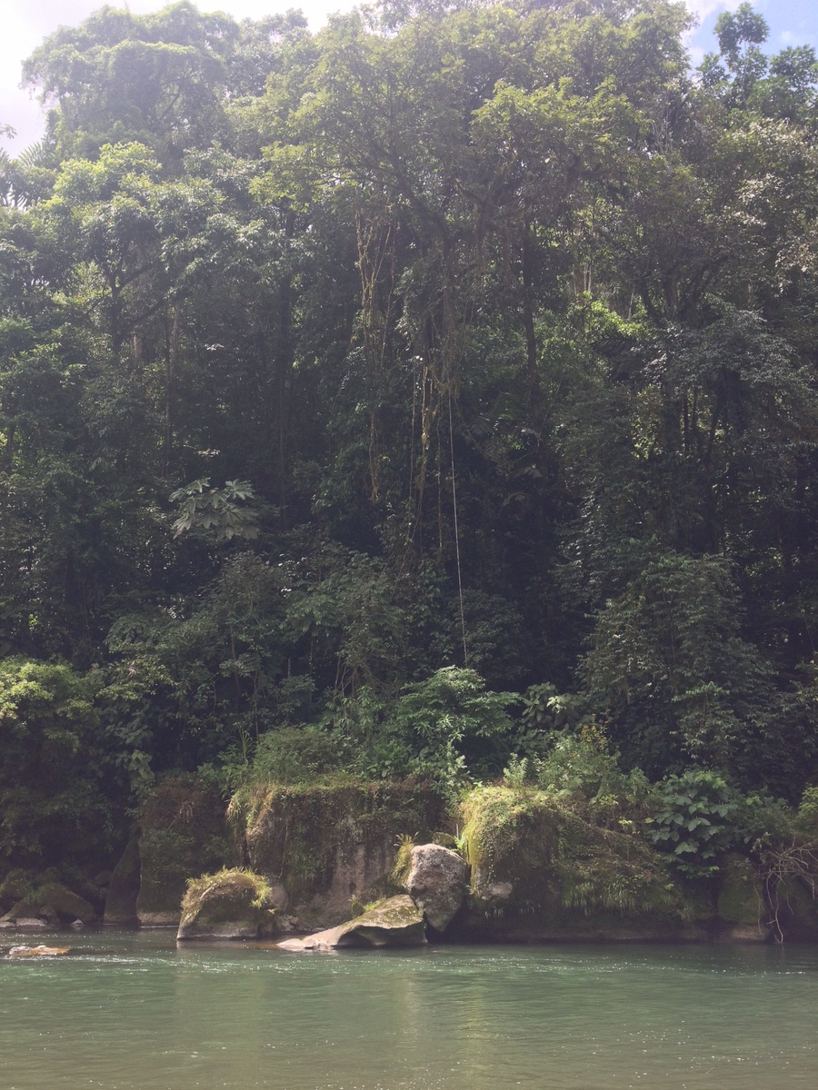 Picture Costa Rica Pacuare River 2015-03 123 - Waterfall Pacuare River