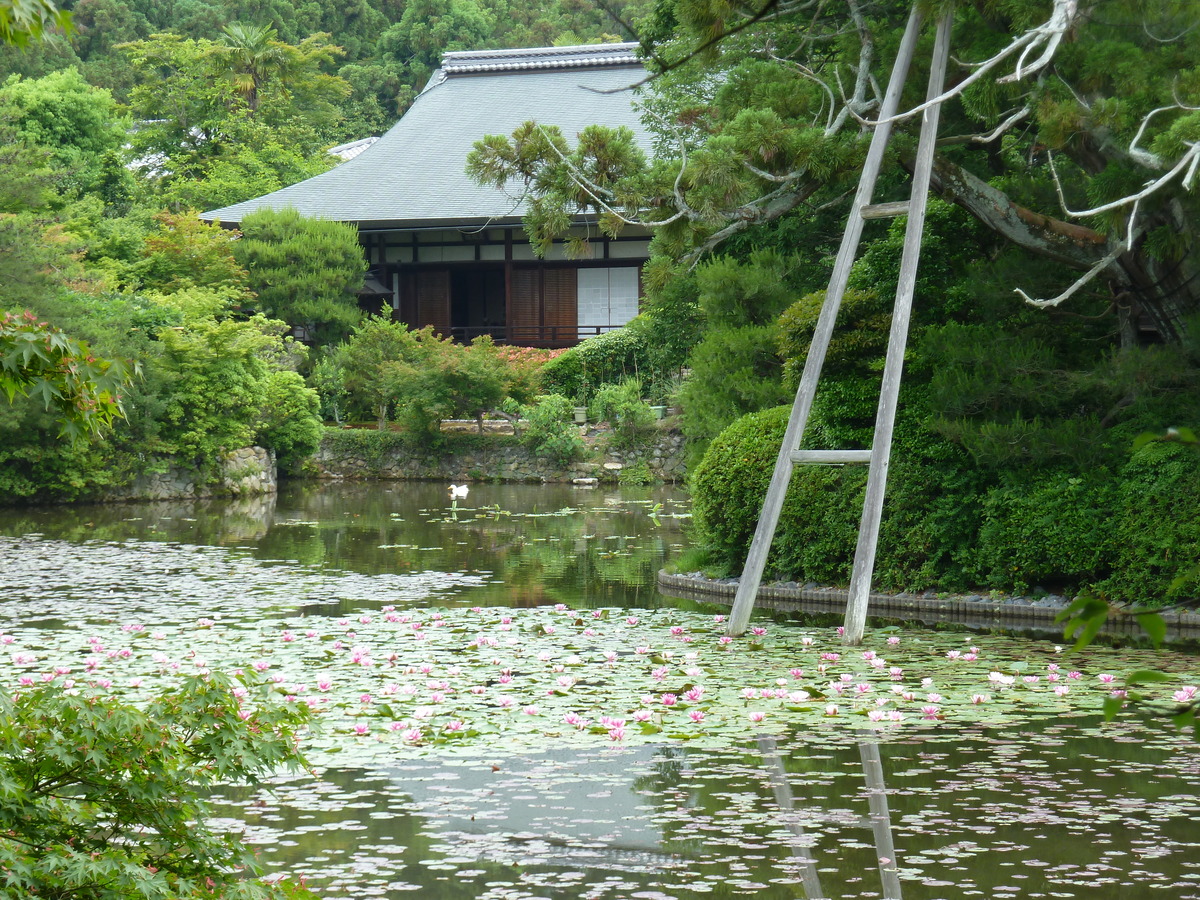 Picture Japan 2010-06 62 - Sauna Japan