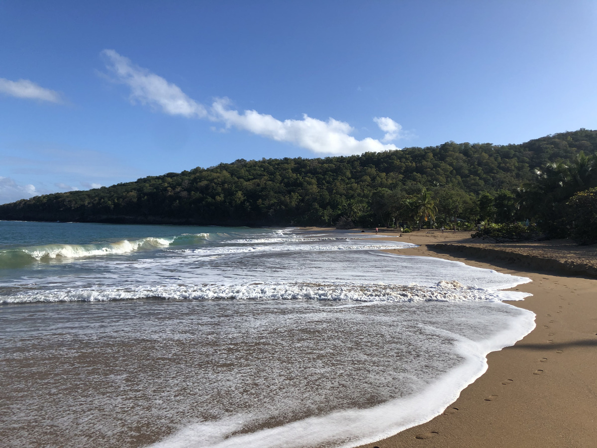 Picture Guadeloupe La Perle Beach 2021-02 103 - City View La Perle Beach