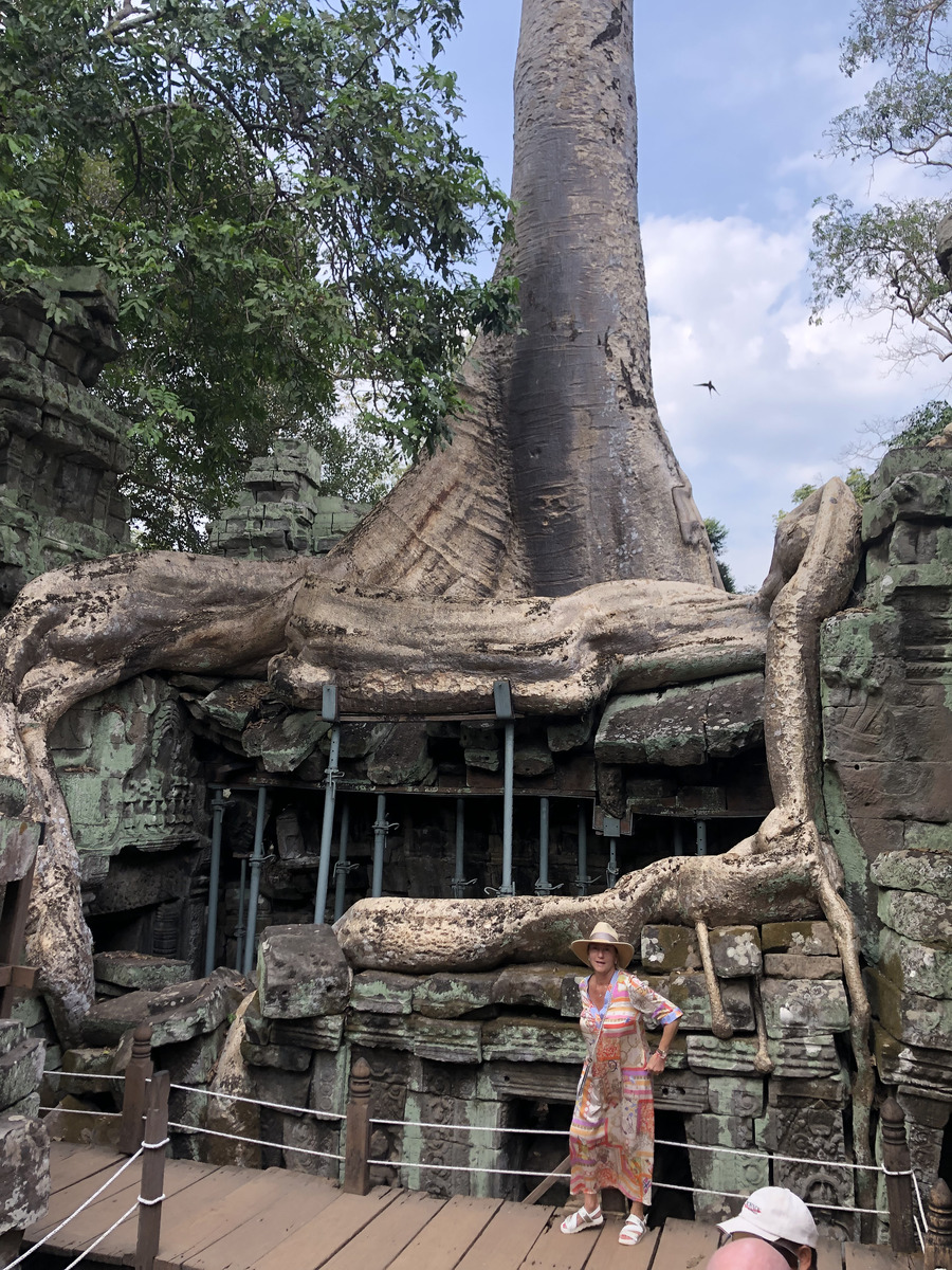 Picture Cambodia Siem Reap Ta Prohm 2023-01 78 - Hotels Ta Prohm