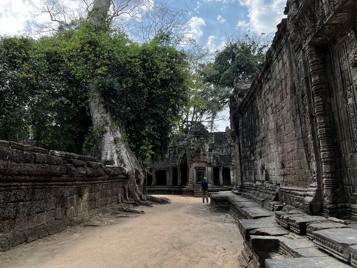 Picture Cambodia Siem Reap Ta Prohm 2023-01 41 - Resort Ta Prohm