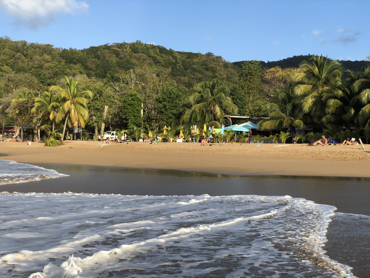 Picture Guadeloupe La Perle Beach 2021-02 127 - Accomodation La Perle Beach