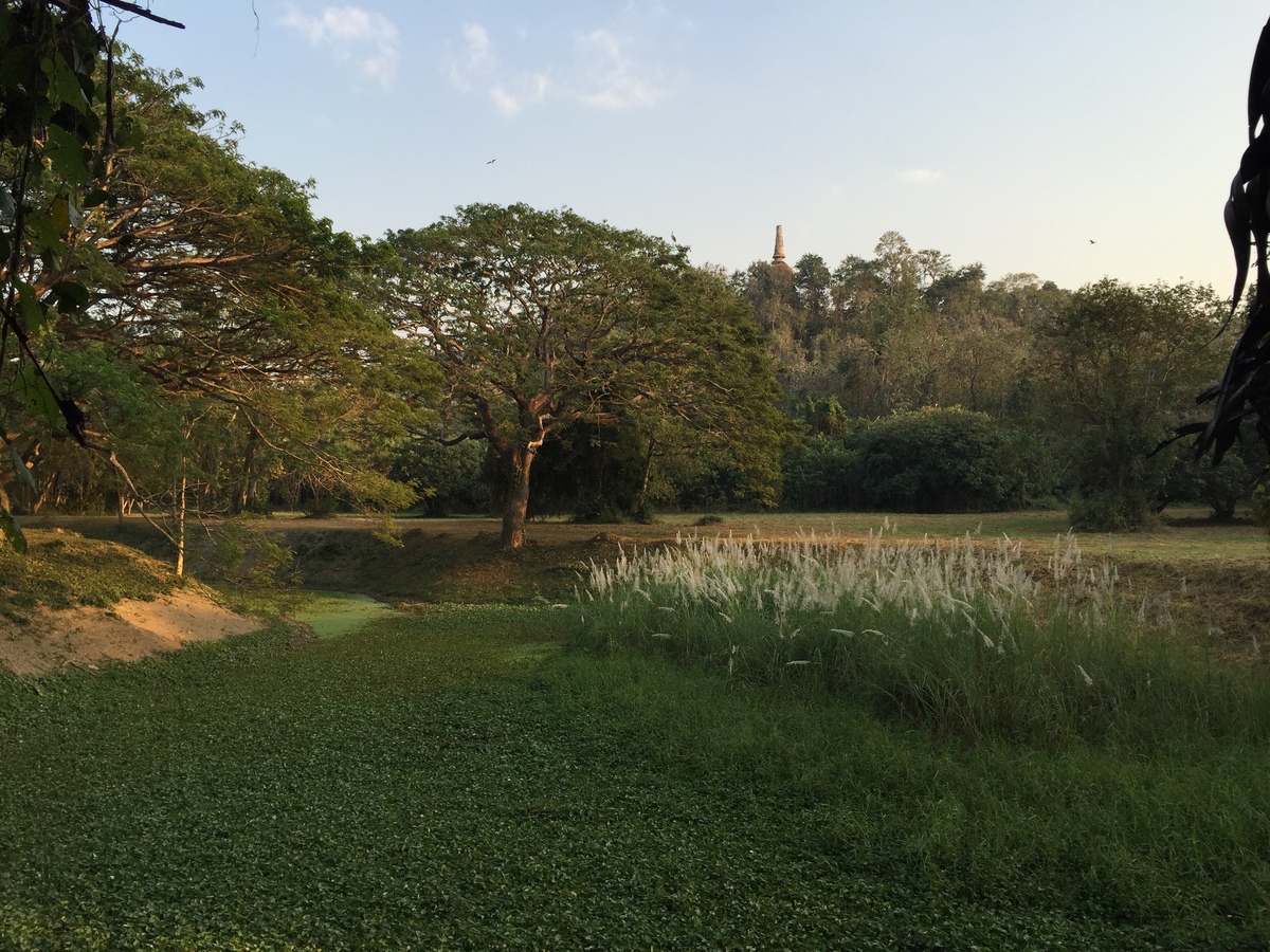 Picture Thailand Si satchanalai historical park 2014-12 54 - Land Si satchanalai historical park