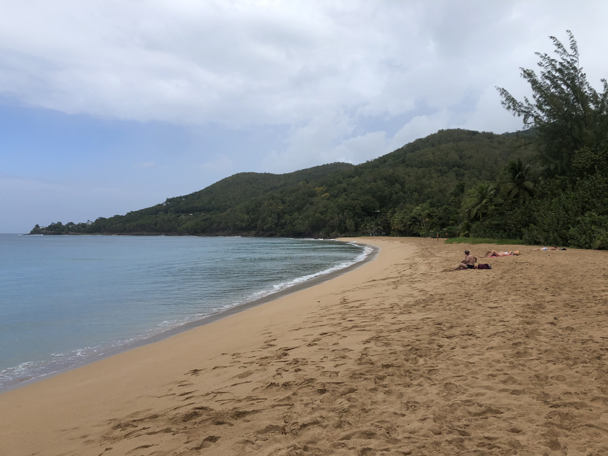 Picture Guadeloupe Grande Hanse Beach 2021-02 5 - Savings Grande Hanse Beach