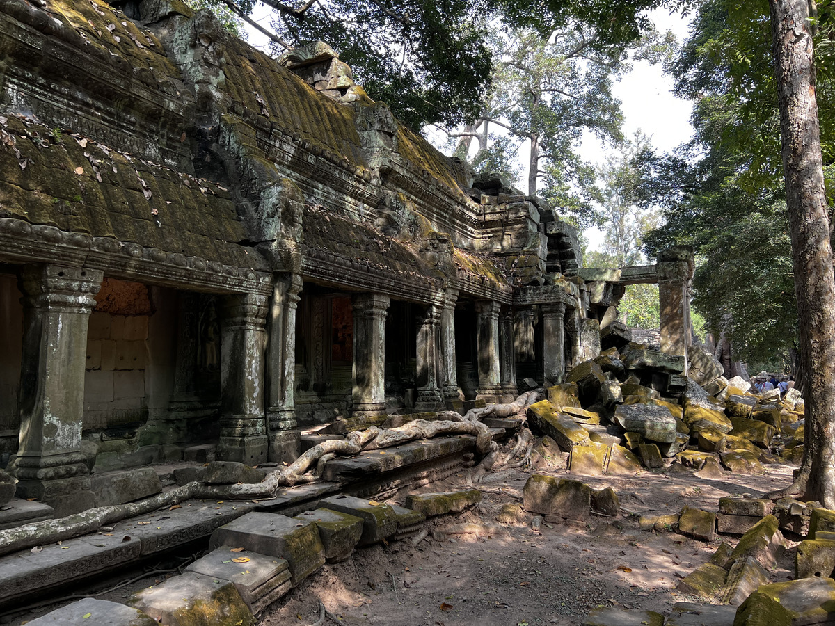 Picture Cambodia Siem Reap Ta Prohm 2023-01 34 - Accomodation Ta Prohm