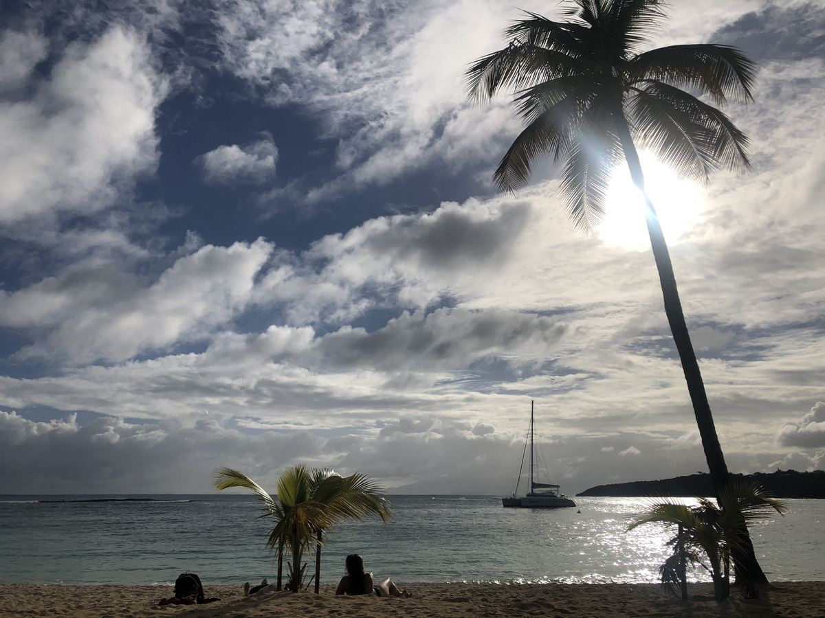 Picture Guadeloupe La Caravelle Beach 2021-02 44 - Cheap Room La Caravelle Beach