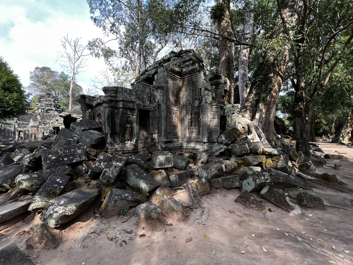 Picture Cambodia Siem Reap Ta Prohm 2023-01 50 - Land Ta Prohm