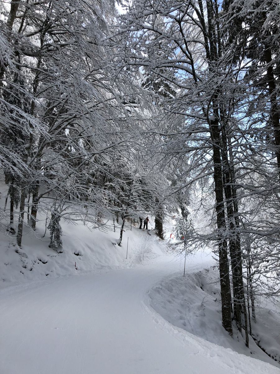 Picture France La Clusaz 2017-12 305 - City La Clusaz