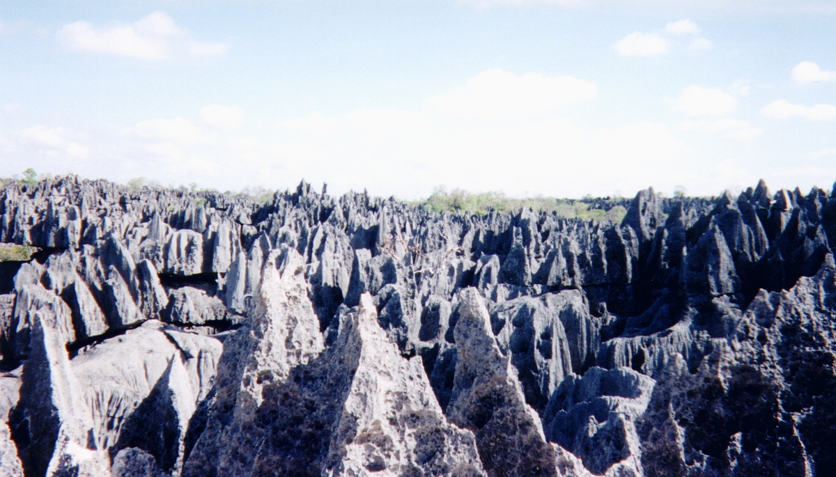 Picture Madagascar Tsingy 1999-10 19 - Lake Tsingy