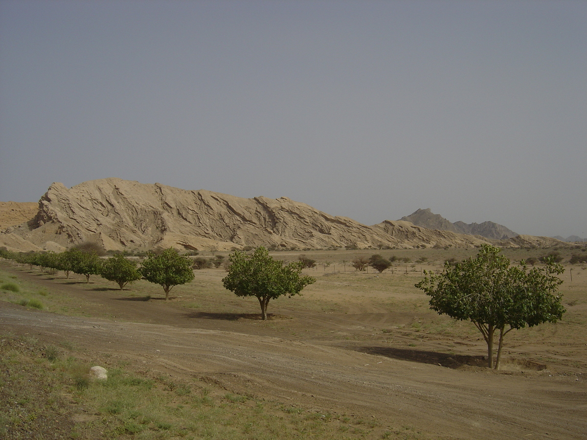 Picture Sultanate of Oman Buraimi to Sohar road 2005-03 7 - Lakes Buraimi to Sohar road