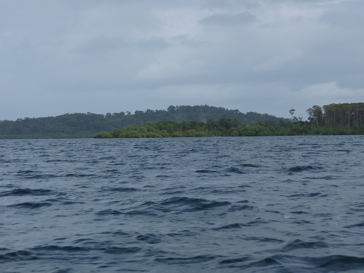 Picture Panama Bocas del toro 2015-03 46 - Lake Bocas del toro