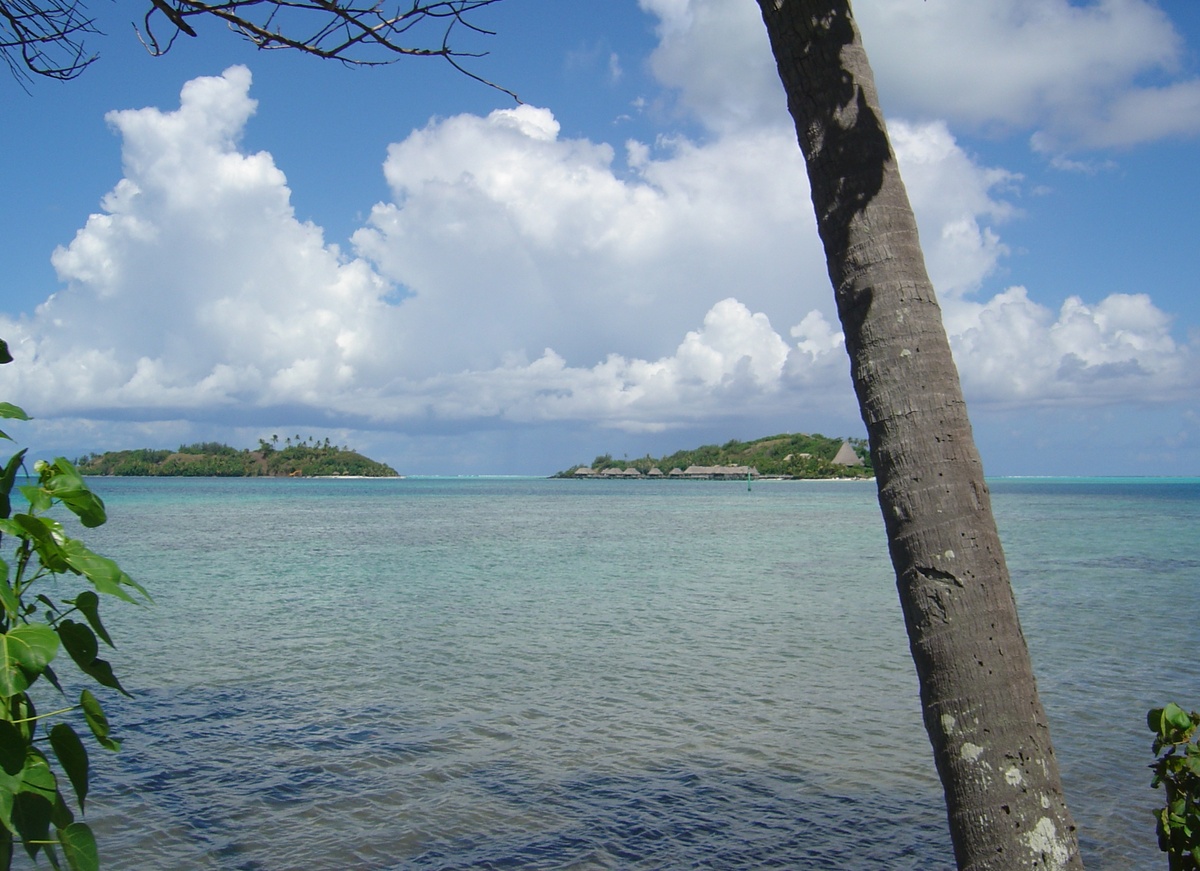 Picture Polynesia Bora Bora 2006-04 67 - Transport Bora Bora